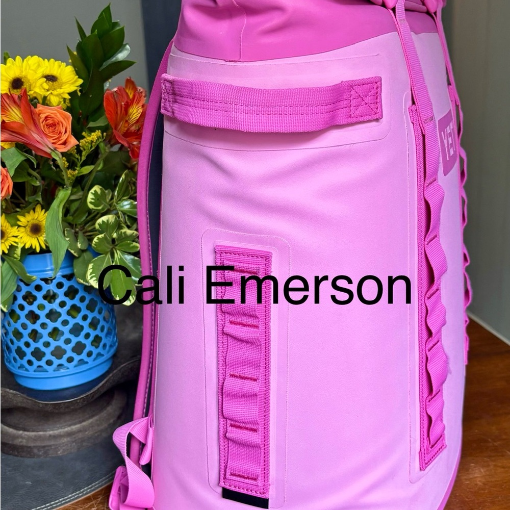 Power PINK YETI Backpack - Picture 2 of 4